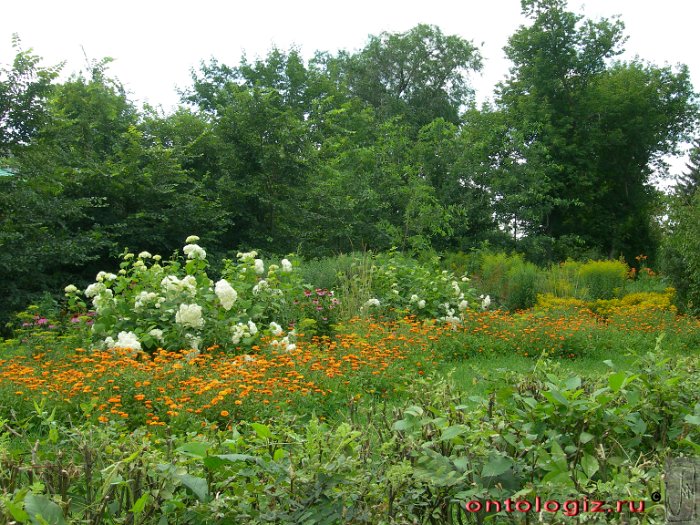 park (8)